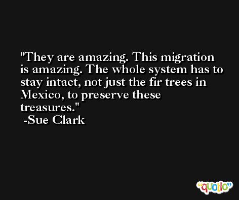 They are amazing. This migration is amazing. The whole system has to stay intact, not just the fir trees in Mexico, to preserve these treasures. -Sue Clark