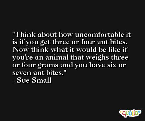 Think about how uncomfortable it is if you get three or four ant bites. Now think what it would be like if you're an animal that weighs three or four grams and you have six or seven ant bites. -Sue Small