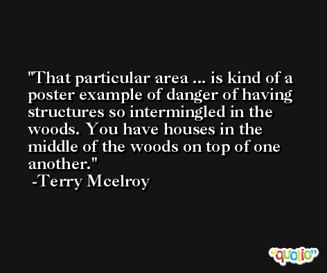 That particular area ... is kind of a poster example of danger of having structures so intermingled in the woods. You have houses in the middle of the woods on top of one another. -Terry Mcelroy