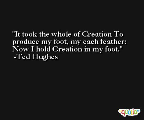 It took the whole of Creation To produce my foot, my each feather: Now I hold Creation in my foot. -Ted Hughes