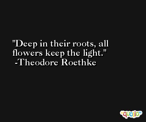Deep in their roots, all flowers keep the light. -Theodore Roethke
