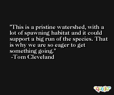 This is a pristine watershed, with a lot of spawning habitat and it could support a big run of the species. That is why we are so eager to get something going. -Tom Cleveland