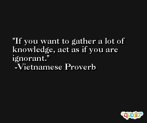 If you want to gather a lot of knowledge, act as if you are ignorant. -Vietnamese Proverb