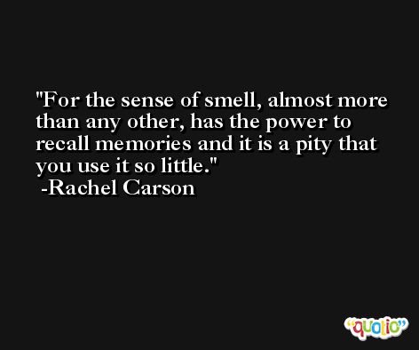 For the sense of smell, almost more than any other, has the power to recall memories and it is a pity that you use it so little. -Rachel Carson