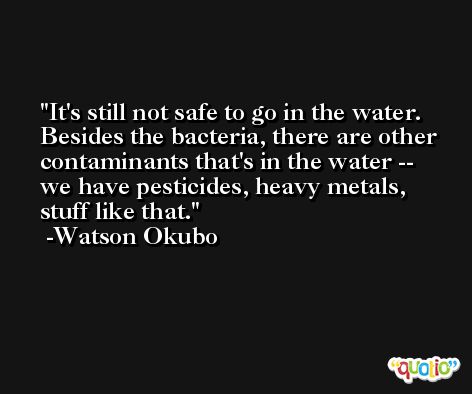 It's still not safe to go in the water. Besides the bacteria, there are other contaminants that's in the water -- we have pesticides, heavy metals, stuff like that. -Watson Okubo