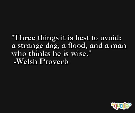 Three things it is best to avoid: a strange dog, a flood, and a man who thinks he is wise. -Welsh Proverb
