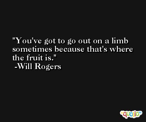 You've got to go out on a limb sometimes because that's where the fruit is. -Will Rogers