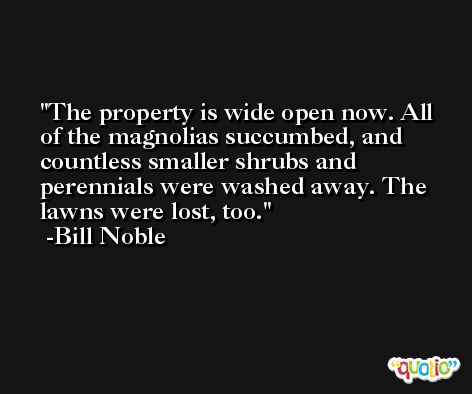 The property is wide open now. All of the magnolias succumbed, and countless smaller shrubs and perennials were washed away. The lawns were lost, too. -Bill Noble