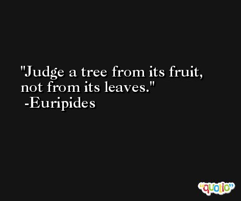 Judge a tree from its fruit, not from its leaves. -Euripides