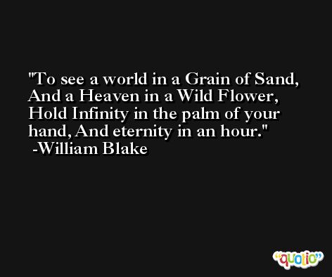 To see a world in a Grain of Sand, And a Heaven in a Wild Flower, Hold Infinity in the palm of your hand, And eternity in an hour. -William Blake