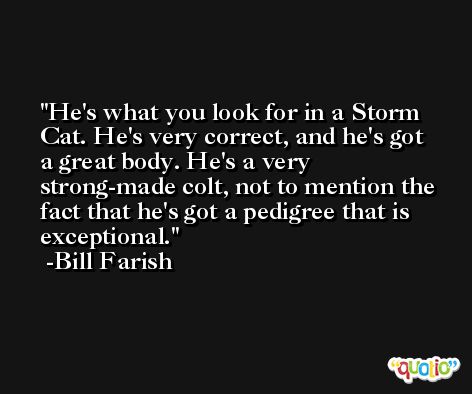 He's what you look for in a Storm Cat. He's very correct, and he's got a great body. He's a very strong-made colt, not to mention the fact that he's got a pedigree that is exceptional. -Bill Farish