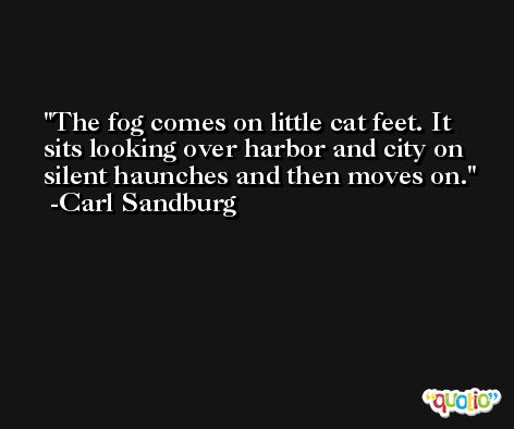 The fog comes on little cat feet. It sits looking over harbor and city on silent haunches and then moves on. -Carl Sandburg