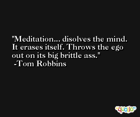 Meditation... disolves the mind. It erases itself. Throws the ego out on its big brittle ass. -Tom Robbins