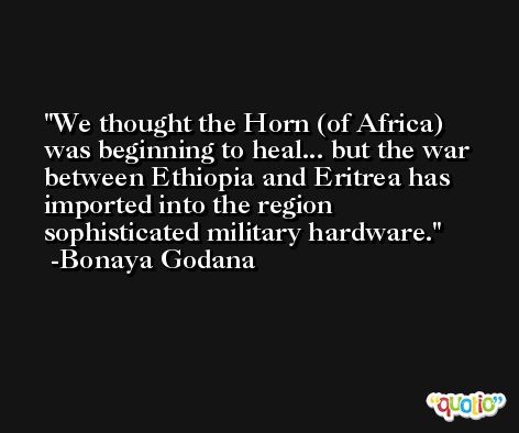 We thought the Horn (of Africa) was beginning to heal... but the war between Ethiopia and Eritrea has imported into the region sophisticated military hardware. -Bonaya Godana
