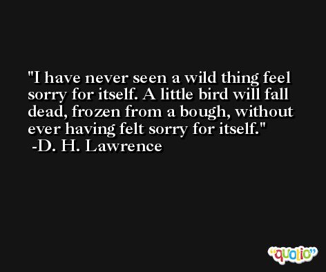 I have never seen a wild thing feel sorry for itself. A little bird will fall dead, frozen from a bough, without ever having felt sorry for itself. -D. H. Lawrence