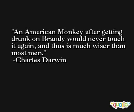 An American Monkey after getting drunk on Brandy would never touch it again, and thus is much wiser than most men. -Charles Darwin