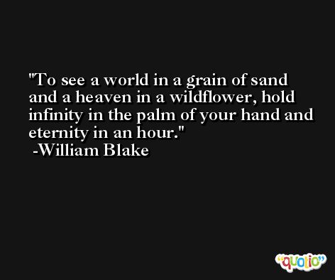 To see a world in a grain of sand and a heaven in a wildflower, hold infinity in the palm of your hand and eternity in an hour. -William Blake