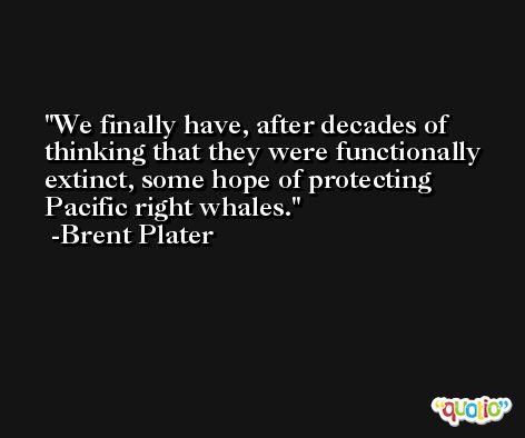 We finally have, after decades of thinking that they were functionally extinct, some hope of protecting Pacific right whales. -Brent Plater