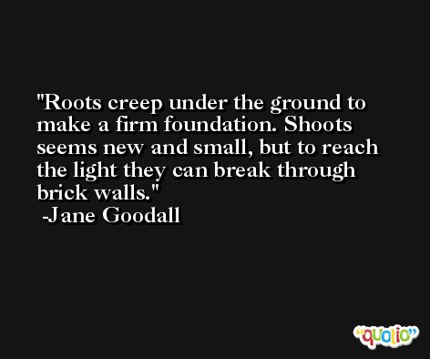 Roots creep under the ground to make a firm foundation. Shoots seems new and small, but to reach the light they can break through brick walls. -Jane Goodall