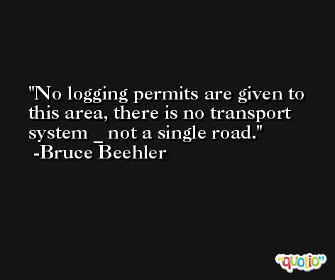 No logging permits are given to this area, there is no transport system _ not a single road. -Bruce Beehler