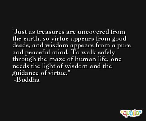 Just as treasures are uncovered from the earth, so virtue appears from good deeds, and wisdom appears from a pure and peaceful mind. To walk safely through the maze of human life, one needs the light of wisdom and the guidance of virtue. -Buddha