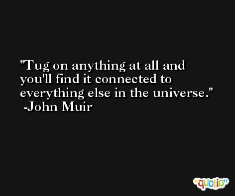 Tug on anything at all and you'll find it connected to everything else in the universe. -John Muir