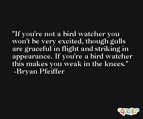 If you're not a bird watcher you won't be very excited, though gulls are graceful in flight and striking in appearance. If you're a bird watcher this makes you weak in the knees. -Bryan Pfeiffer